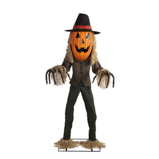   TÖKFEJŰ MADÁRIJESZTŐ MOZGÁSSAL, FÉNY- ÉS HANGHATÁSSAL