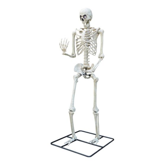 ÓRIÁS ÁLLÓ CSONTVÁZ VILÁGÍTÓ SZEMEKKEL