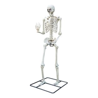 ÓRIÁS ÁLLÓ CSONTVÁZ VILÁGÍTÓ SZEMEKKEL