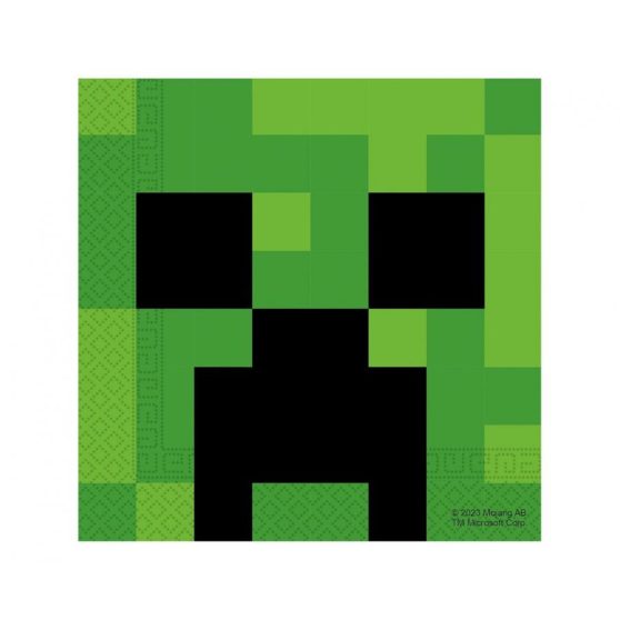 MINECRAFT SZALVÉTA