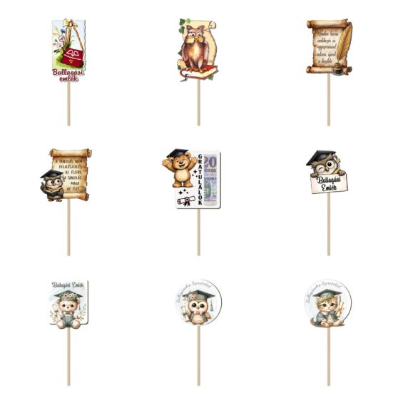 BALLAGÁSI PÁLCÁS BESZÚRÓ VEGYES MINTÁKKAL