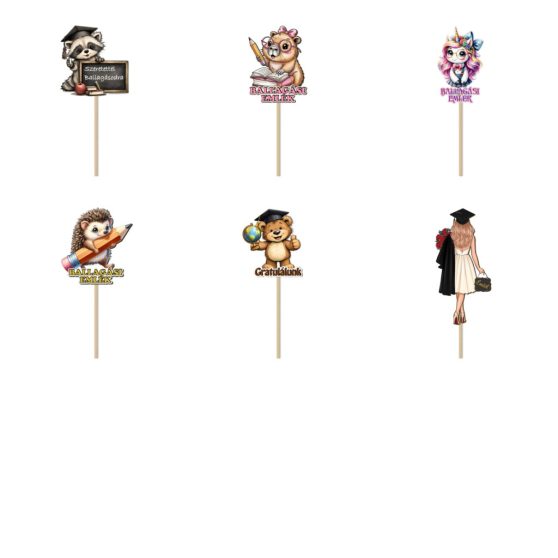 BALLAGÁSI PÁLCÁS BESZÚRÓ VEGYES MINTÁKKAL