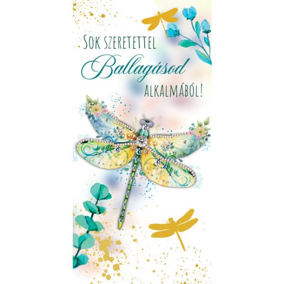 ÜDVÖZLŐLAP BORÍTÉKKAL BALLAGÁSRA, ANNYI LEHETŐSÉG AHÁNY CSILLAG...